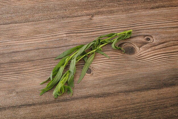 Arôme d'épices aux herbes d'estragon vert pour la cuisine