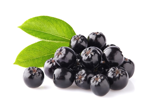 Aronia aux feuilles