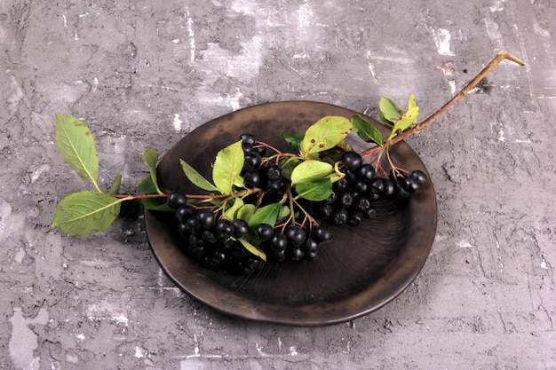 Aronia noir frais sur une plaque d'argile. Aronia noire