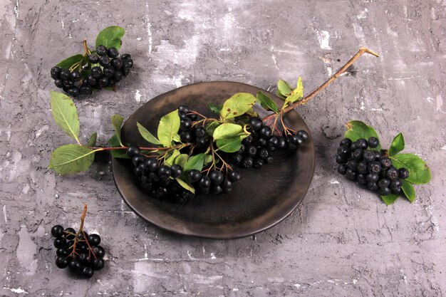 Aronia noir frais sur une plaque d'argile. Aronia noire