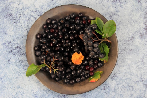 Aronia noir frais sur une plaque d'argile. Aronia noire