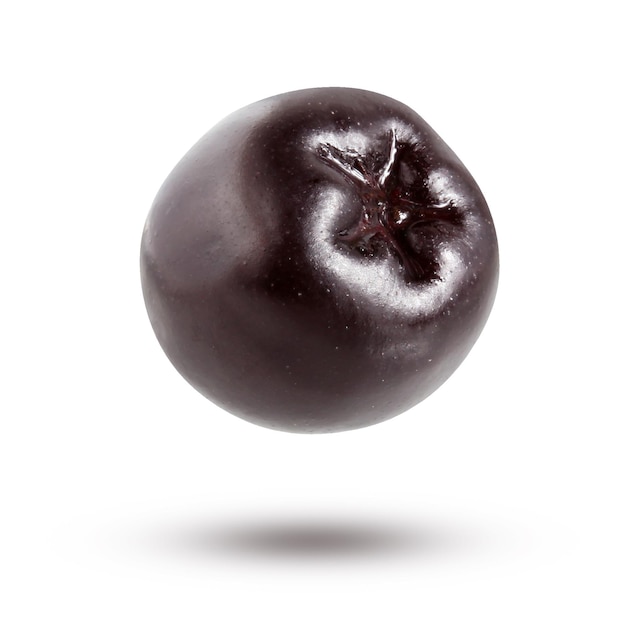 Aronia noir isolé sur blanc