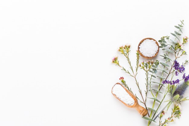 Arrangement cosmétique vert à base de plantes bio, sel de mer et cosmétique artisanale.