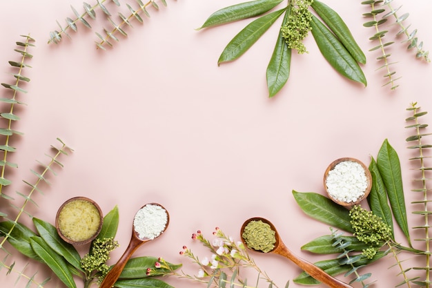 Arrangement cosmétique vert à base de plantes bio, sel de mer et cosmétique artisanale.