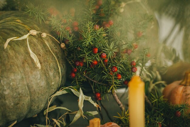 Arrangement de décoration automne rustique avec des citrouilles bouchent