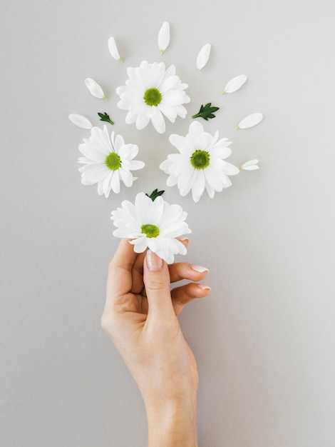 Photo arrangement du concept d'optimisme avec des fleurs