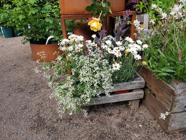 Photo arrangement d'été de belles fleurs d'été dans une boîte en bois dans un fleuriste