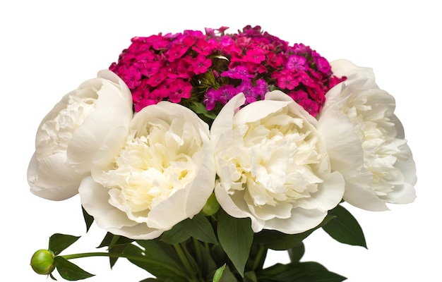 Arrangement de fleurs bouquet délicat pivoine et oeillet isolé sur fond blanc Objet motif floral Mise à plat Vue de dessus