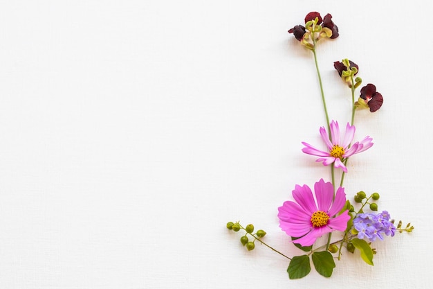 arrangement de fleurs de cosmos à plat style carte postale