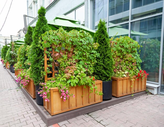 Arrangement de fleurs avec différentes couleurs de rue dans une boîte en bois à l'entrée du café-restaurant en Russie Novosibirsk