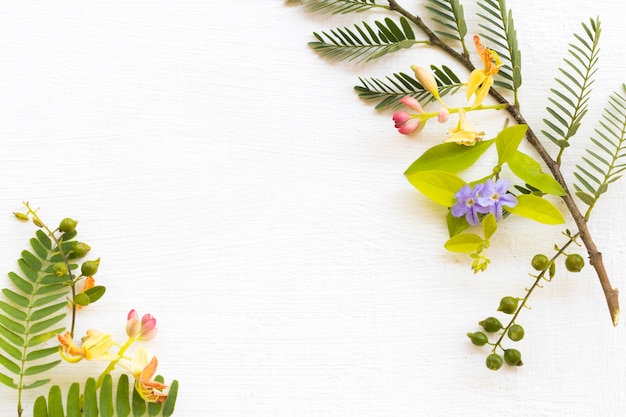 arrangement de fleurs et de feuilles de tamarin à plat style de carte postale