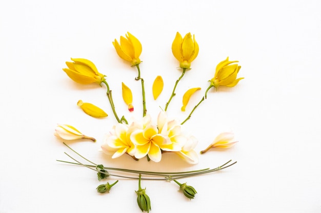arrangement de fleurs jaunes à plat style carte postale
