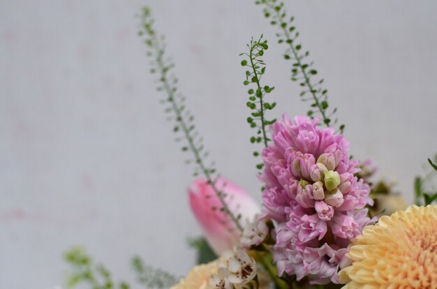 Arrangement de fleurs rose hyacintus sur fond blanc