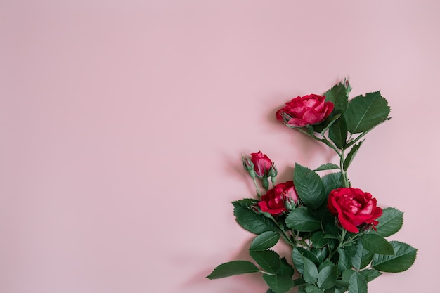 Arrangement floral avec un bouquet de roses rouges fraîches copiez l'espace.