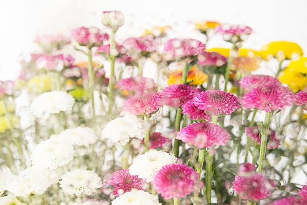 Arrangement floral coloré Des fleurs au printemps