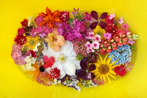 Arrangement floral d'une variété de fleurs sur fond jaune.