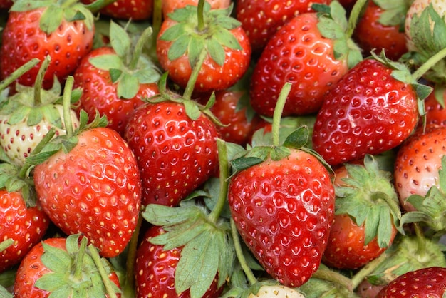 Arrangement fruits aux fraises bio