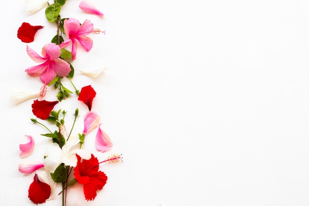 Arrangement d'hibicus de fleurs colorées à plat style carte postale