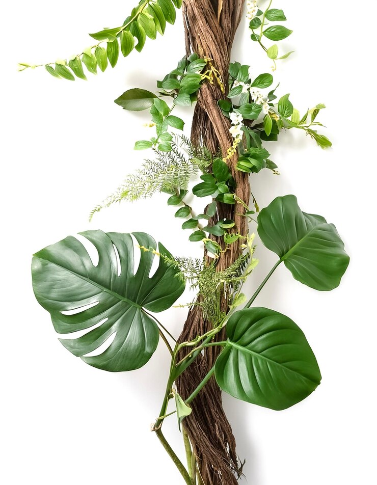 Photo arrangement de plantes tropicales avec des feuilles tropicales décor de fleurs tropicales sur une plante de vigne de branche d'arbre