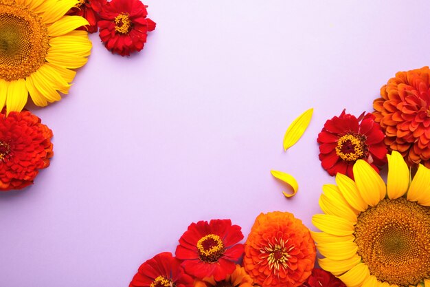 Arrangements de fleurs d'automne faits de tournesols, de feuilles et de fleurs sur fond violet, vue de dessus. Composition créative. Vue de dessus