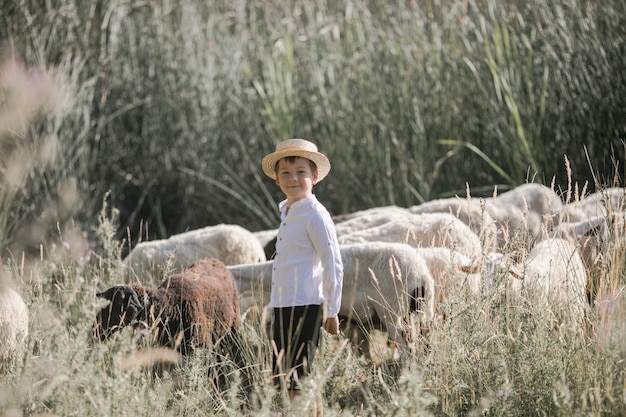 Arrière sur Caucasian small teen boy in hat marchant en plein air dans le champ et s'occupant des moutons