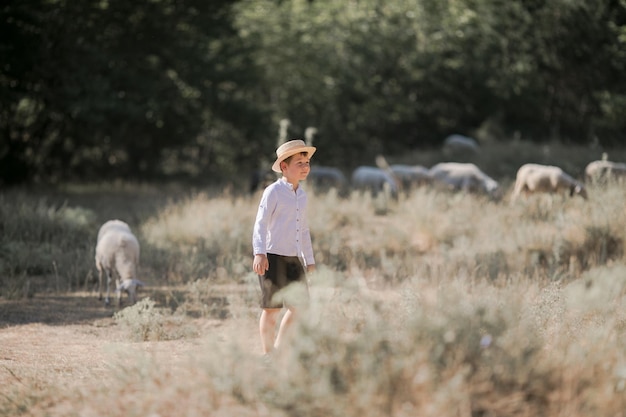 Arrière sur Caucasian small teen boy in hat marchant en plein air dans le champ et s'occupant des moutons