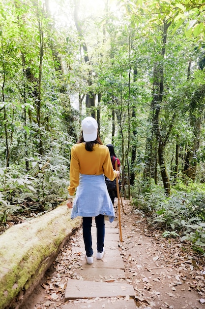 L&#39;arrière de la femme asiatique touristique marchant à travers la forêt verte