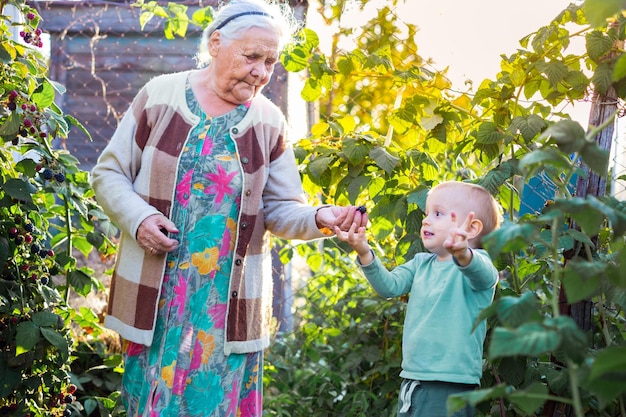 Arrière-grand-mère avec petit-enfant dans la cour traiter son petit-fils avec de la framboise en été Très vieille femme âgée avec un petit garçon en plein air