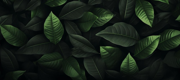 Arrière-plan abstrait de feuilles noires texturées avec des éléments de feuilles tropicales pour un concept de nature sombre