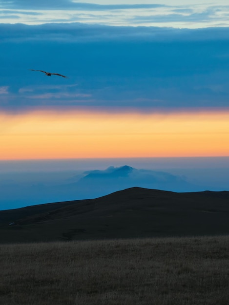 Arrière-plan abstrait Paysage de montagne avec nuages de brume et vol d'oiseau solitaire à l'aube Les montagnes de l'aube sont devenues des paysages impressionnants en raison du ciel orange et du brouillard Vue verticale