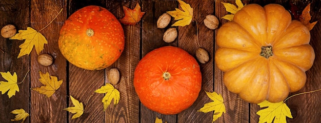 Arrière-plan de l'Action de grâce Courgettes et feuilles tombées sur un fond blanc en bois Halloween ou le jour de l'action de grâce ou saisonnier automnal Placement plat Vue supérieure Bannière