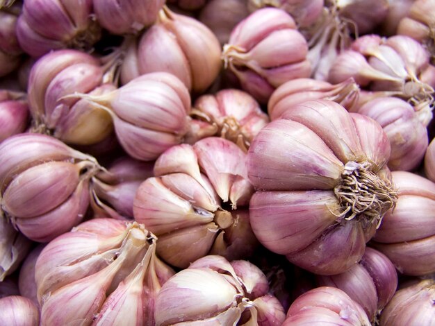 Photo arrière-plan agricole un tas de beaux oignons