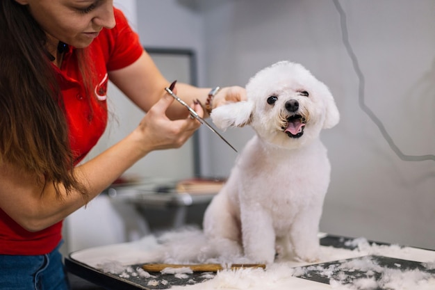 arrière-plan d'animaux de compagnie mignons