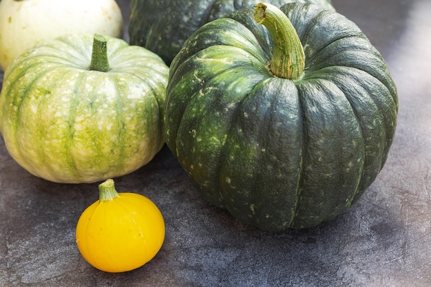 Arrière-plan automnal Automne naturel chute vue citrouilles sur fond de schiste de pierre noir foncé Fond d'écran d'octobre ou de septembre Changement de saisons concept d'aliments biologiques mûrs Fête d'Halloween Jour de Thanksgiving