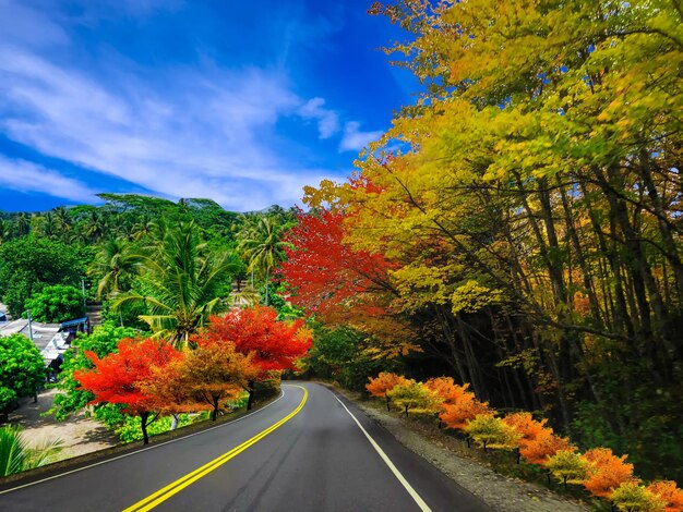 Photo arrière-plan d'automne belle beauté brun couleur claire colorée montagnes jardin frais