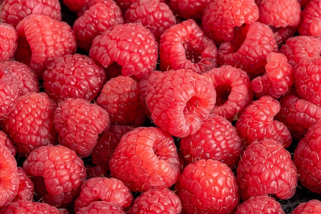 Arrière-plan de baies de framboises rouges fraîchement piqués