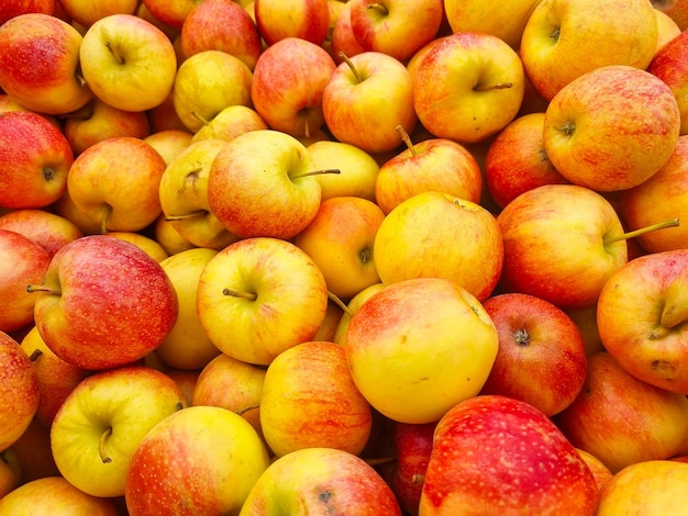 Arrière-plan beaucoup de pommes jaunes et rouges le concept de récolte de fruits