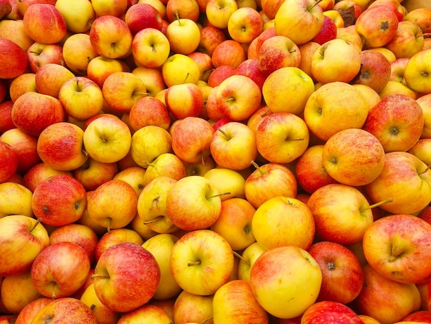 Arrière-plan beaucoup de pommes jaunes et rouges le concept de récolte de fruits