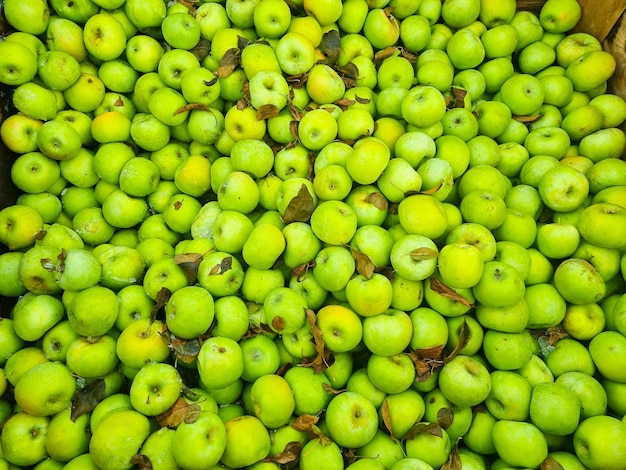 Arrière-plan beaucoup de pommes vertes le concept de récolte de fruits