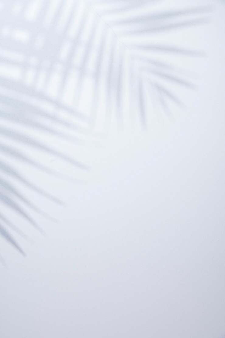 Photo arrière-plan blanc avec l'ombre de feuilles de palmier
