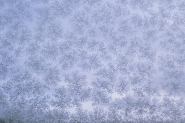 Photo arrière-plan bleu de noël