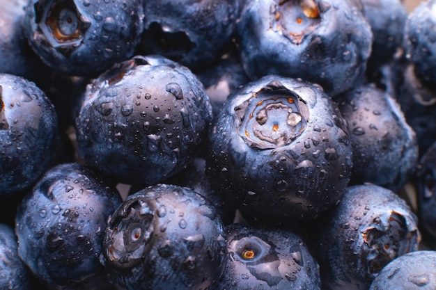Arrière-plan des bleuets de bleuets macro arrière-plan du bleuet frais gouttes d'eau sur les bleuets mûrs