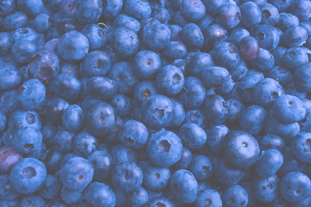 Arrière-plan de bleuets frais Texture des baies de bleuet en gros plan