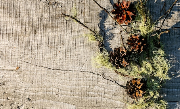 Arrière-plan en bois naturel avec une place pour le texte et les cônes scandinaves et d'autres choses