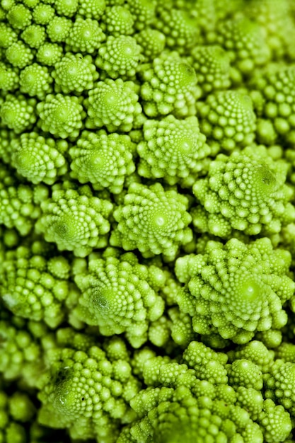 arrière-plan - broccolo romanesco (Brassica oleracea)