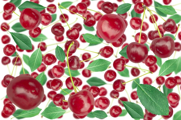 Arrière-plan de cerises mûres fraîches volant au hasard avec des feuilles sur fond blanc