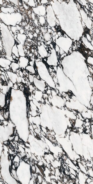 Arrière-plan de conception de texture de marbre de luxe