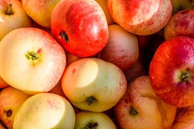 Arrière-plan du gros tas de pommes mûres