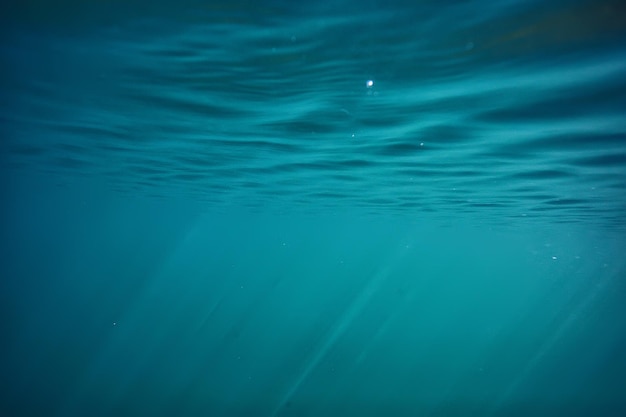 arrière-plan du lac eau résumé sous-marin / eau douce fond de plongée nature fond d'écosystème sous-marin