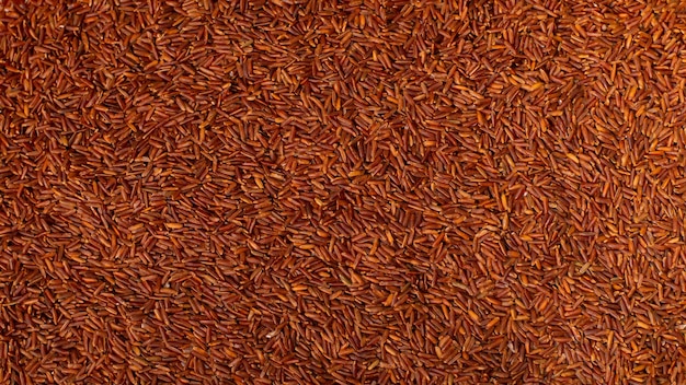 Photo arrière-plan du riz long brun une photo rapprochée du riz brun
